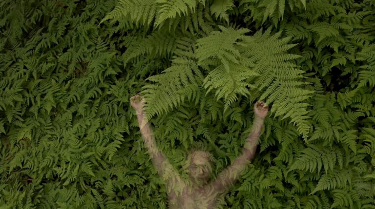 Ihmishahmo makaamassa vehreiden saniaisten alla.