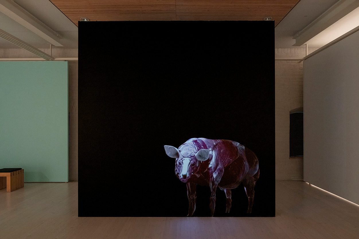 Sermon II, 2024 (videoprojektio). Kuva: Juha Tiainen.